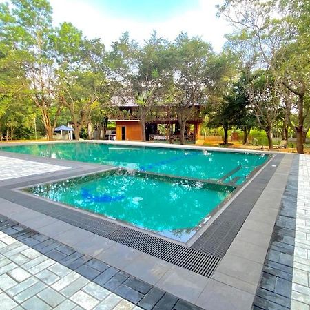 Ima Villa Sigiriya Eksteriør billede