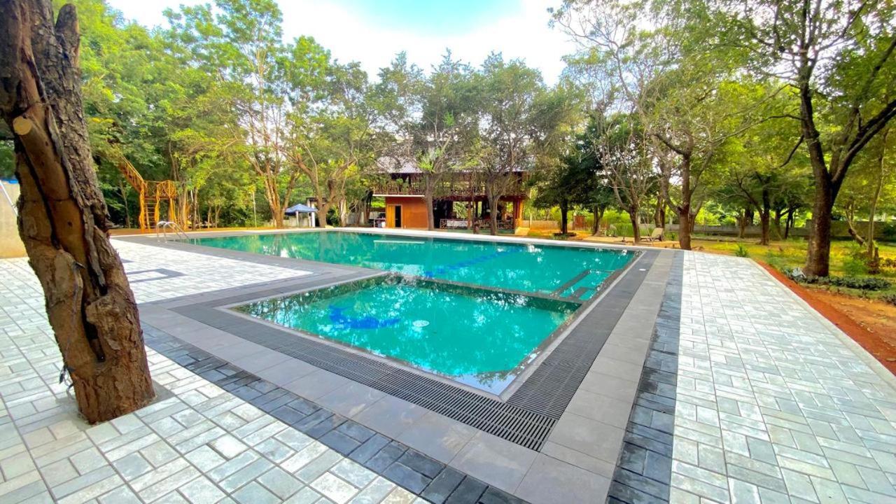 Ima Villa Sigiriya Eksteriør billede