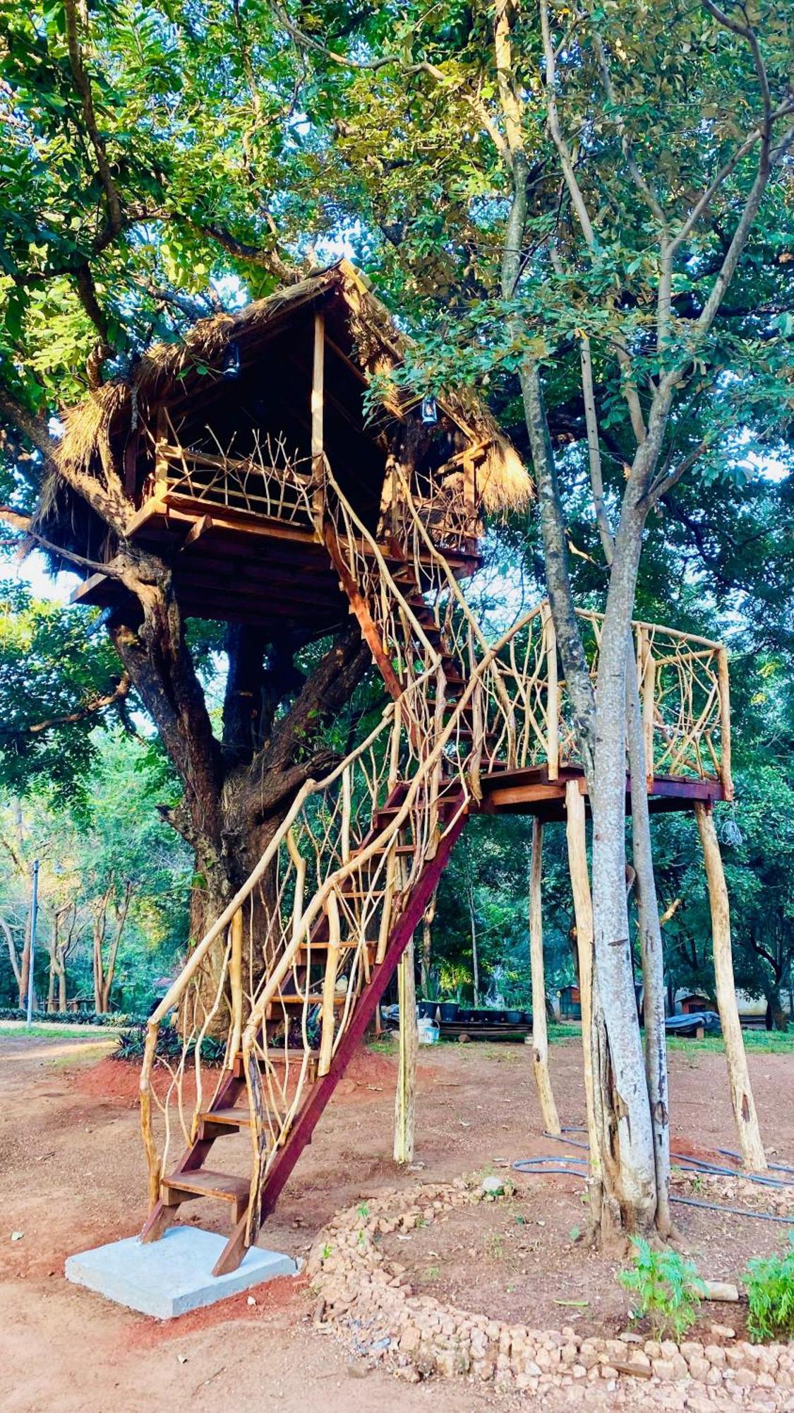 Ima Villa Sigiriya Eksteriør billede